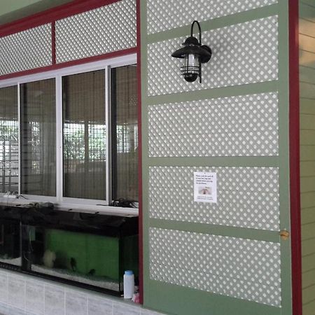 Jomtien Morningstar Guesthouse מראה חיצוני תמונה